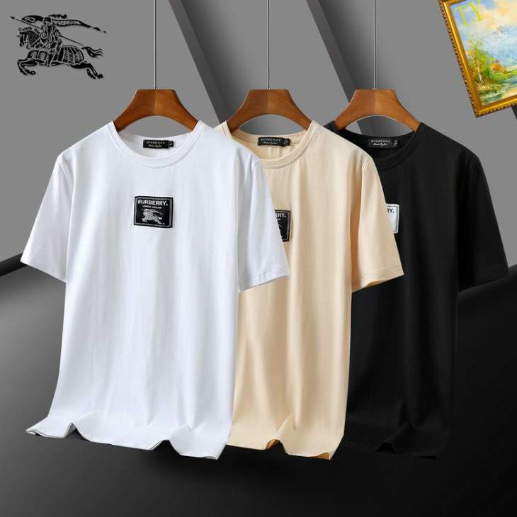 Picture of Burberry T Shirts Short _SKUBurberryM-3XL25t24cB02120348